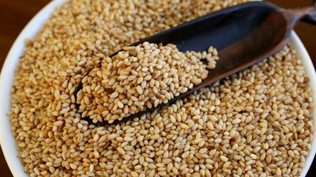 Από τα Βρυσικά Διδυμοτείχου στις ΗΠΑ το εβρίτικο σουσάμι