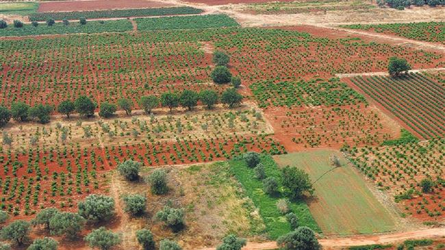 Αναπτυξιακός Νόμος: Στο επίκεντρο των επενδύσεων Αγροδιατροφή και Πρωτογενής παραγωγή