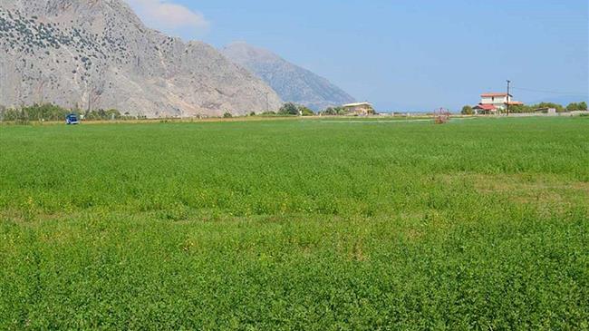 Από 9/11 ξεκινούν οι αιτήσεις για το υπομέτρο 3.1 - Τι αφορά