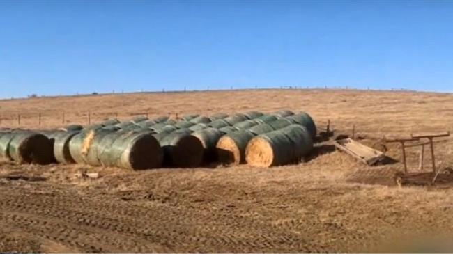 Η πρακτική της ακαλλιέργειας αποδίδει πρόσθετα έσοδα στους αγρότες