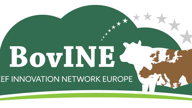 Βιώσιμη εκτροφή βοείου κρέατος στην Ευρώπη: Πολιτική και πρακτική