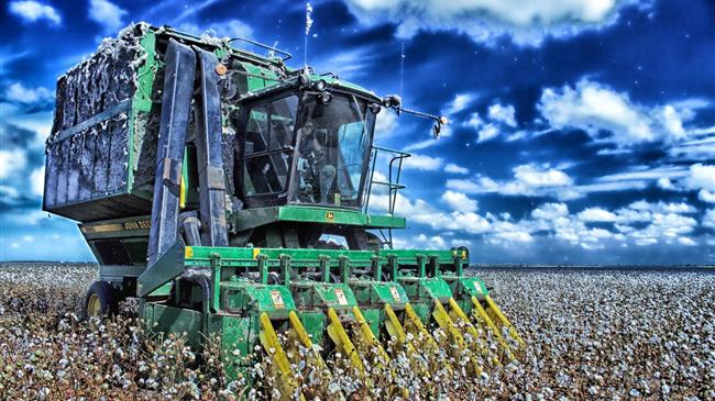 Καμία έκτακτη κορονοενίσχυση για το βαμβάκι