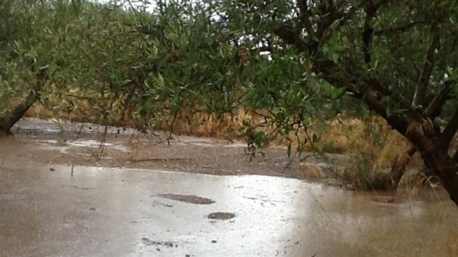 Αγρότες & κτηνοτρόφοι Λήμνου: Δηλώστε τις ζημιές σας στον ΕΛΓΑ έως 11/12