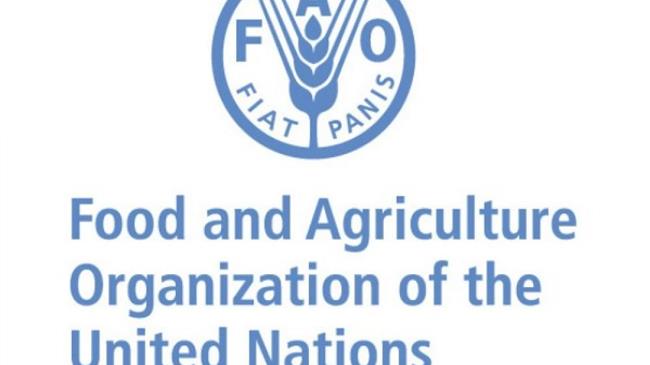 FAO: Απαιτείται νέα περαίωση και επανασχεδιασμός της φορολογικής πολιτικής