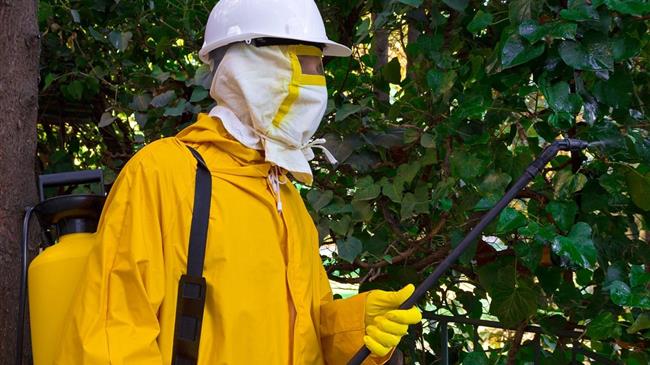 Δίκτυο γεωργών της ΕΕ: Μείωση στα φυτοφάρμακα χωρίς συνέπειες στα κέρδη