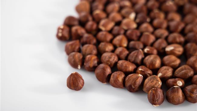 Η σκοτεινή πλευρά της ιταλικής καλλιέργειας φουντουκιών