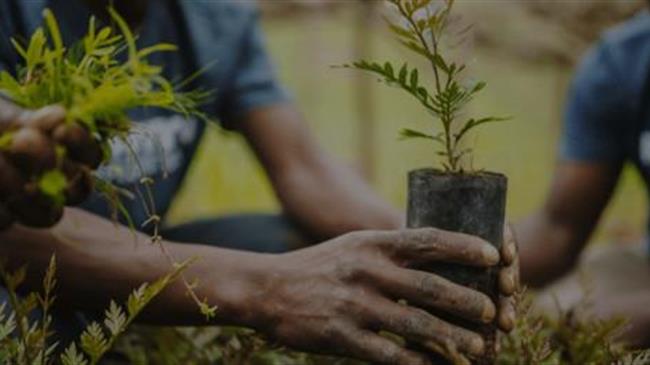 Πληρώνεται τέλος Ιουνίου το πρόγραμμα δάσωσης σε 700  δικαιούχους για το 2022