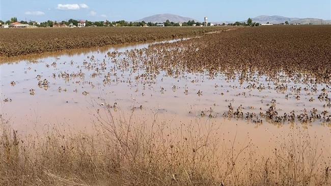 ΣΥΡΙΖΑ Λάρισας κατά Περιφέρειας Θεσσαλίας για τις καταστροφές από τον «Ιανό»