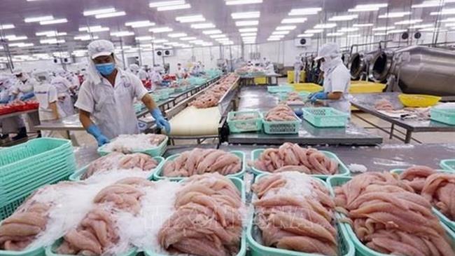 Tra fish export value expected to hit 1.5 billion USD this year