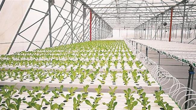ΕΝΤΕΚΑ: Επένδυση 6 εκατ. για υδροπονικό θερμοκήπιο στη Βοιωτία