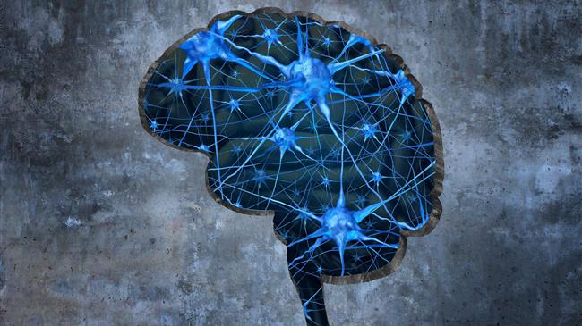 Μνήμη: Αυτές είναι οι 8 τροφές που θα την τονώσουν