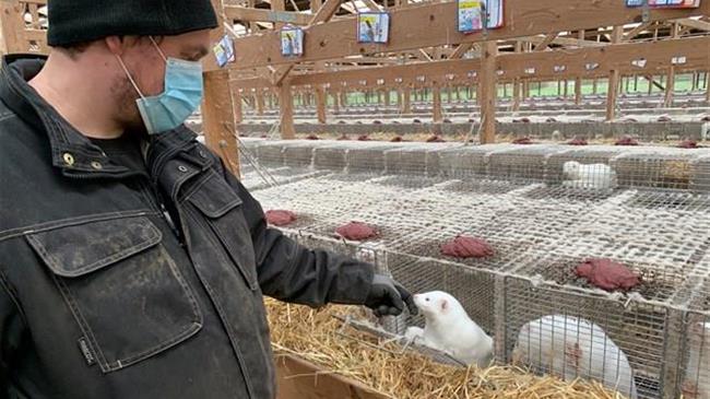 "Μην βάλει η κυβέρνηση τις επιχειρήσεις πάνω από τις ανθρώπινες ζωές και τα δικαιώματα των ζώων"