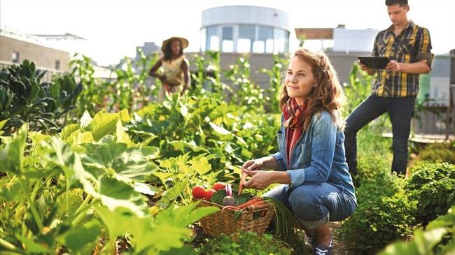 Μνημόνιο συνεργασίας Αγροδιατροφικής- Ιονίου Πανεπιστημίου