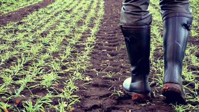 ΕΛΓΑ: Αποζημιώσεις ύψους 1.610.000 ευρώ για τις καταστροφές από τον "Ιανό"