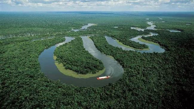 Ποιες χώρες της ΕΕ έμειναν εκτός στη δέσμευση για την αποψίλωση των δασών