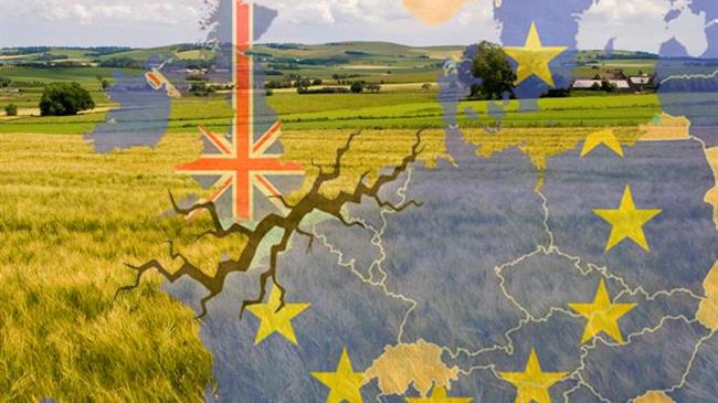 Brexit outrage as New Zealand farmers will have to go through less red tape to sell lamb