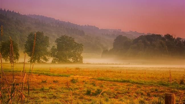 Το ΑΚΚΕΛ επιβεβαιώθηκε ότι είναι μεθοδευμένη και κατευθυνόμενη η καταστροφή του πρωτογενούς τομέα διατροφής