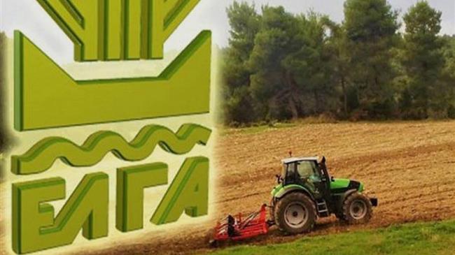 Στα σκαριά πληρωμή μαμούθ από τον ΕΛΓΑ - Και de minimis στα μανταρίνια