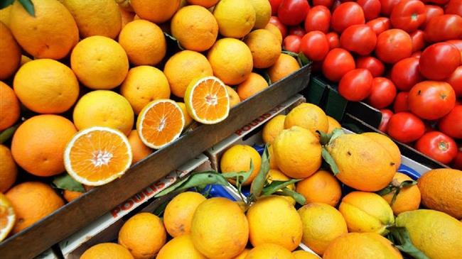 Ολλανδία: Φόβοι των εξαγωγέων φρούτων σε περίπτωση «άτακτου» Brexit