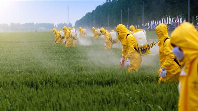 Φυτοφάρμακα: Μέγιστα επίπεδα υπολειμμάτων στα τρόφιμα