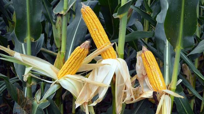 Πόλεμος στην Ουκρανία: Έναν μήνα μετά, η παγκόσμια οικονομία σε ζώνη αναταράξεων