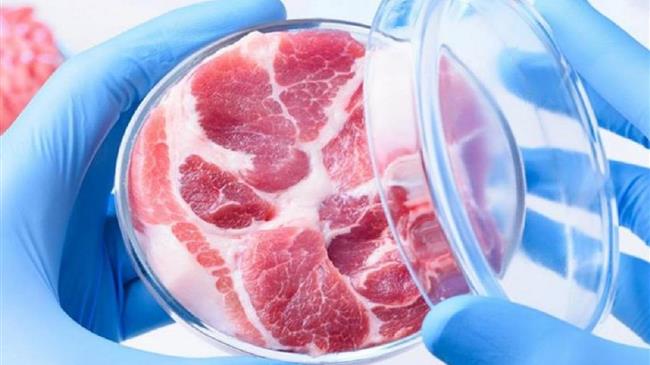 FDA: Πράσινο φως για κατανάλωση σε μεταλλαγμένο χοιρινό