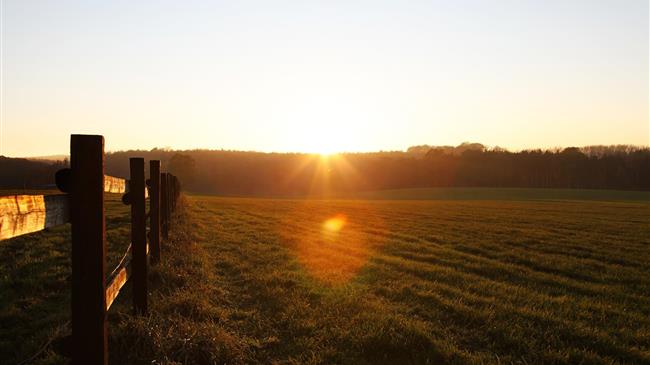 Παράταση προθεσμίας για την εγκατάσταση νέων γεωργών!