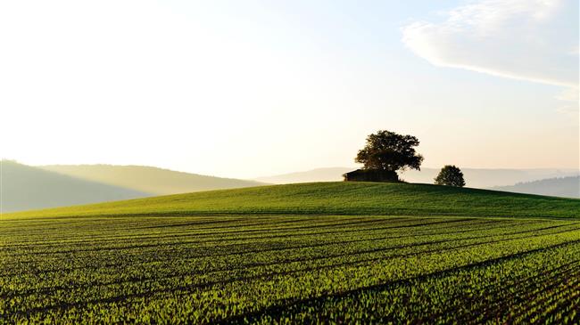 Οι Α.Π.Ε. κύρια πηγή ενέργειας στην Ελλάδα το 2021