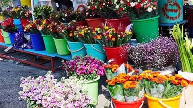 Επιστρέφουν οι παραγωγοί και επαγγελματίες πωλητές ανθέων και φυτών στις λαϊκές αγορές