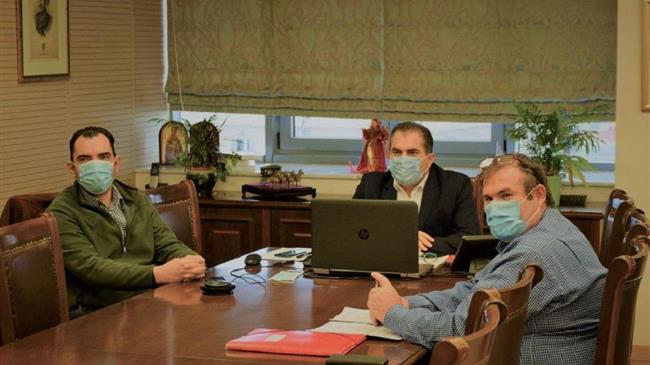 Μέτωπο από δημάρχους για προστασία της Ελιάς Καλαμάτας ΠΟΠ