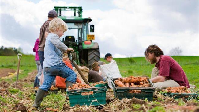 Ένα διαφορετικό "γκάλοπ" στην Βρετανία... για τα Αγροτικά...!!!