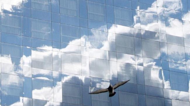 Αυξάνονται διαρκώς στην Ελλάδα και σ όλο τον κόσμο οι θανατώσεις πουλιών από προσκρούσεις σε γυάλινα κτίρια