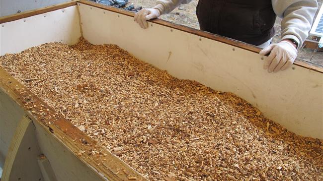 Τι είναι η «ανθρώπινη κομποστοποίηση» που ξεκινά επισήμως η αμερικανική πολιτεία