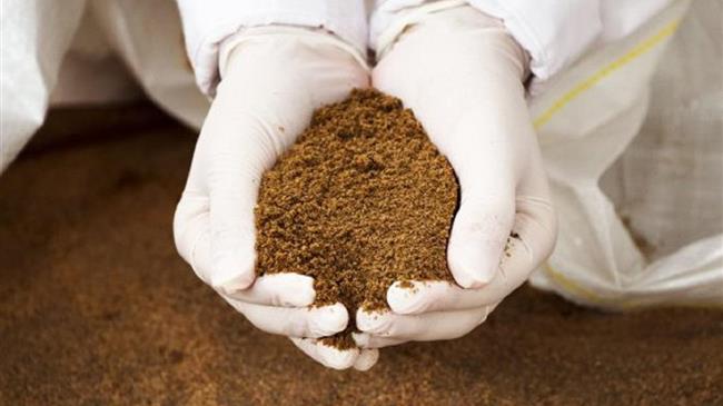 Το μέλλον της γεωργίας: από την κατανάλωση εντόμων στην αστική γεωργία