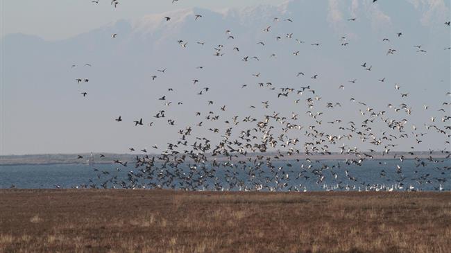 Παγκόσμια Ημέρα Περιβάλλοντος: Τριάντα μία περιβαλλοντικές οργανώσεις ενώνουν τις φωνές τους για την προστασία της φύσης