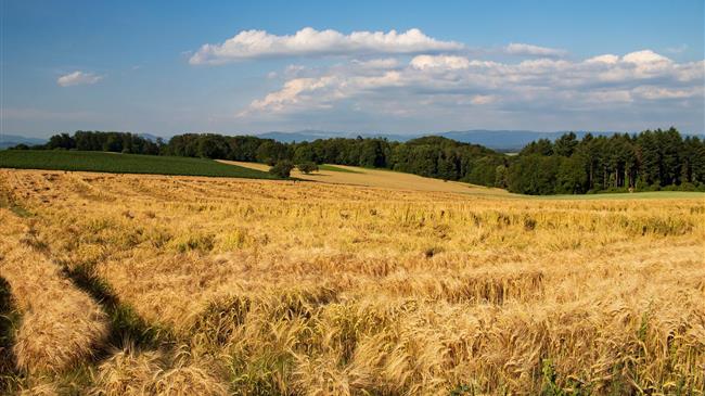 Παρέμβαση Χ. Ζεϊμπέκ για άμεση στήριξη των πληγέντων κτηνοτρόφων και παραγωγών ζωοτροφών