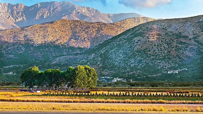 Οροπέδιο Λασιθίου: Ψηφιακή πλατφόρμα για τα αγροτικά και κτηνοτροφικά προϊόντα