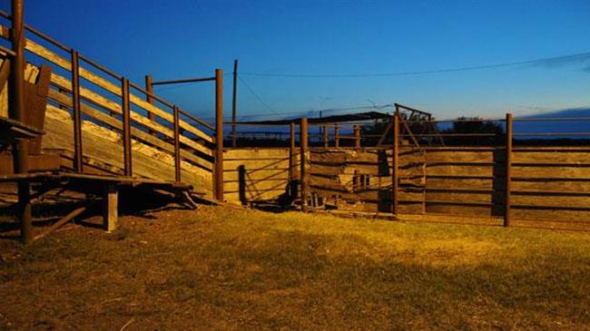 Άδεια διατήρησης κτηνοτροφικών εκμεταλλεύσεων που λειτουργούν εντός ή πλησίον κατοικημένων περιοχών