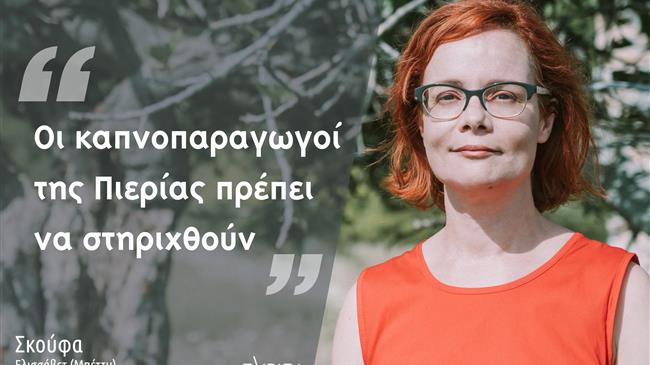 Μπ. Σκούφα: Ευθύνη της Κυβέρνησης η στήριξη και η προστασία των καπνοπαραγωγών της Πιερίας