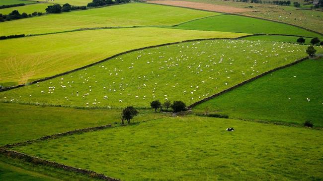 Επένδυση στον πρωτογενή τομέα: 895.000 ευρώ για αναδασμό στον Έβρο