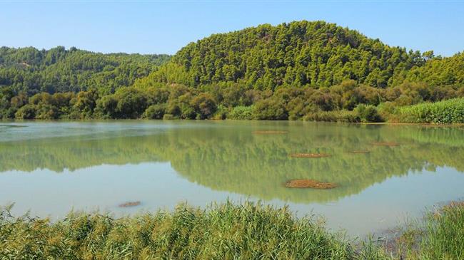 «Φούσκωσε» ο Πηνειός