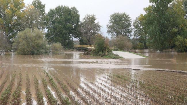 Πρόεδρος ΕΛΓΑ: «Πλημμυρισμένα 110.000 στρέμματα σε Έβρο και Ροδόπη»