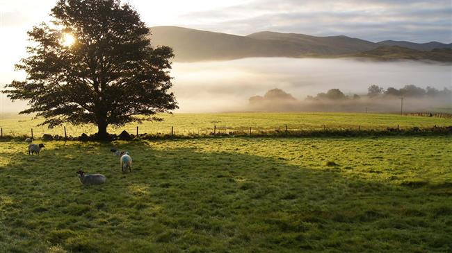 Η κερδοσκοπική αύξηση των ζωοτροφών και ο κίνδυνος συρρίκνωσης της κτηνοτροφίας