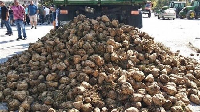 Τευτλοπαραγωγοί: Προσβλέπουν σε συνάντηση με τον πρωθυπουργό στην Καρδίτσα - Τι θα ζητήσουν