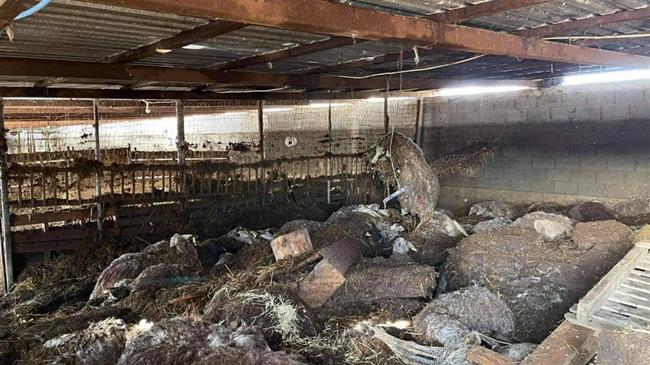 Αύριο ξεκινάει ή διαδικασία υποβολής  δηλώσεων  ζημιάς σε Έβρο και Ροδόπη