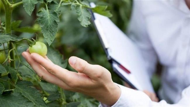 Ενυδροπονία, ένα «στοίχημα που πρέπει να κερδηθεί» και το ευρωπαϊκό πρόγραμμα «Smart Farming 4All» ετοιμάζει το έδαφος