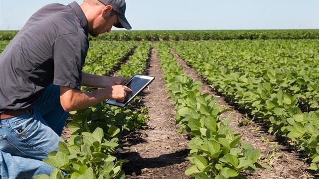 Γεωργικοί σύμβουλοι: Ολοκληρώνεται η ενεργοποίηση του Συστήματος σε Αγροτικές Εκμεταλλεύσεις