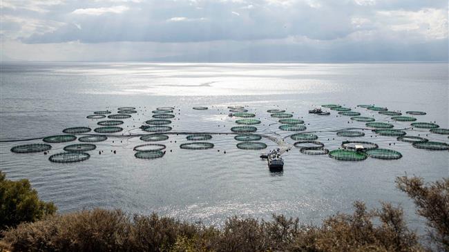 Εύβοια- Βοιωτία: Υπογράφτηκε το ΠΔ για για τον χαρακτηρισμό και την οριοθέτηση Περιοχής Οργανωμένης Ανάπτυξης Υδατοκαλλιεργειών