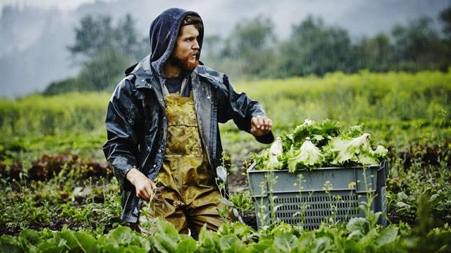 Οργισμένοι οι αγρότες - Παραμένει δεσμευμένο το ακατάσχετο... βοήθημα