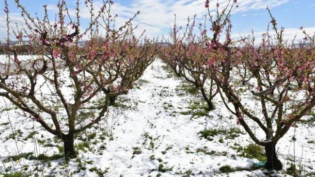 Κακοκαιρία Μήδεια: Τι προβλήματα  προκαλεί στον αγροτικό χώρο